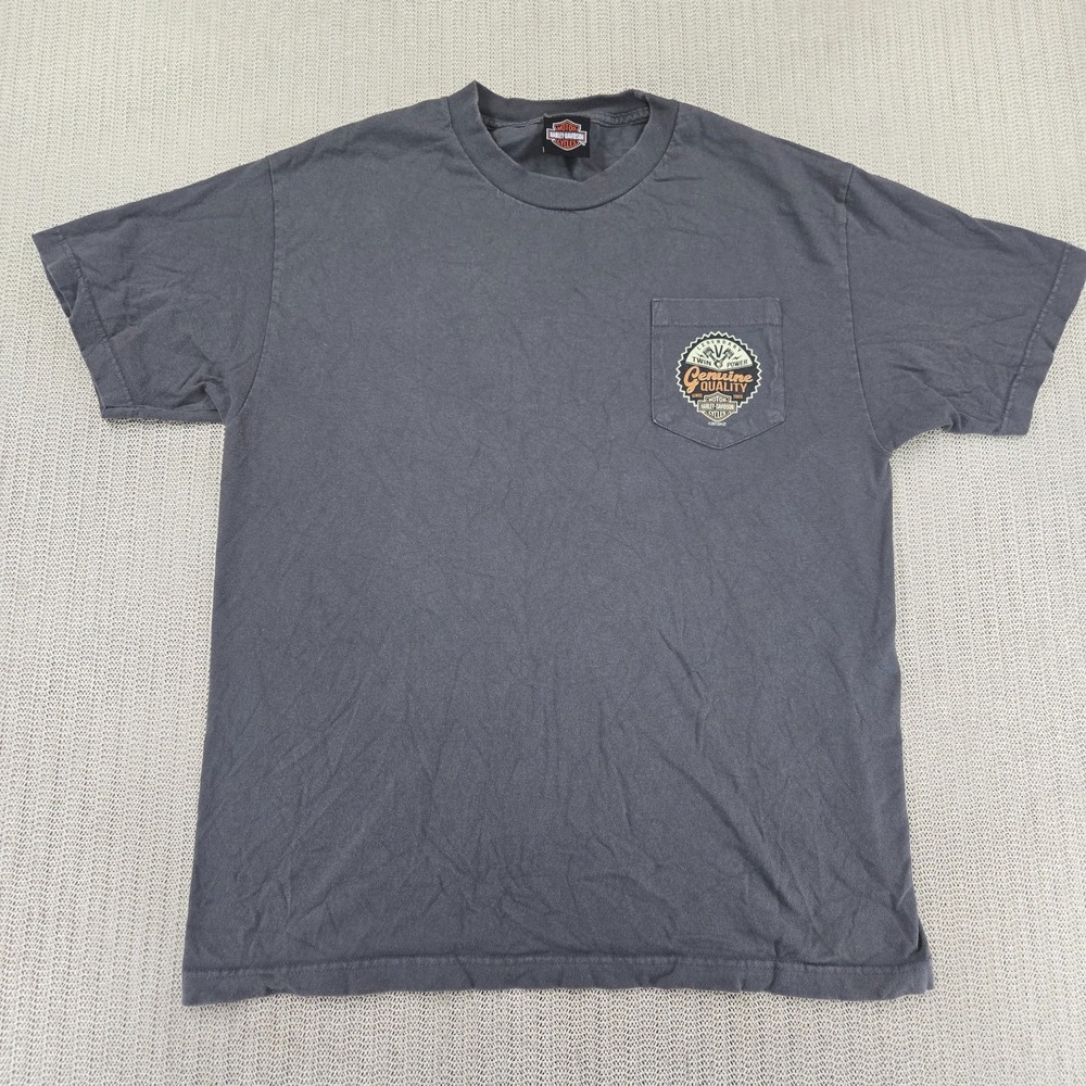 Harley Davidson Shirt Mens Large Gray Chattanooga Tennessee Eagle Lightning Moto